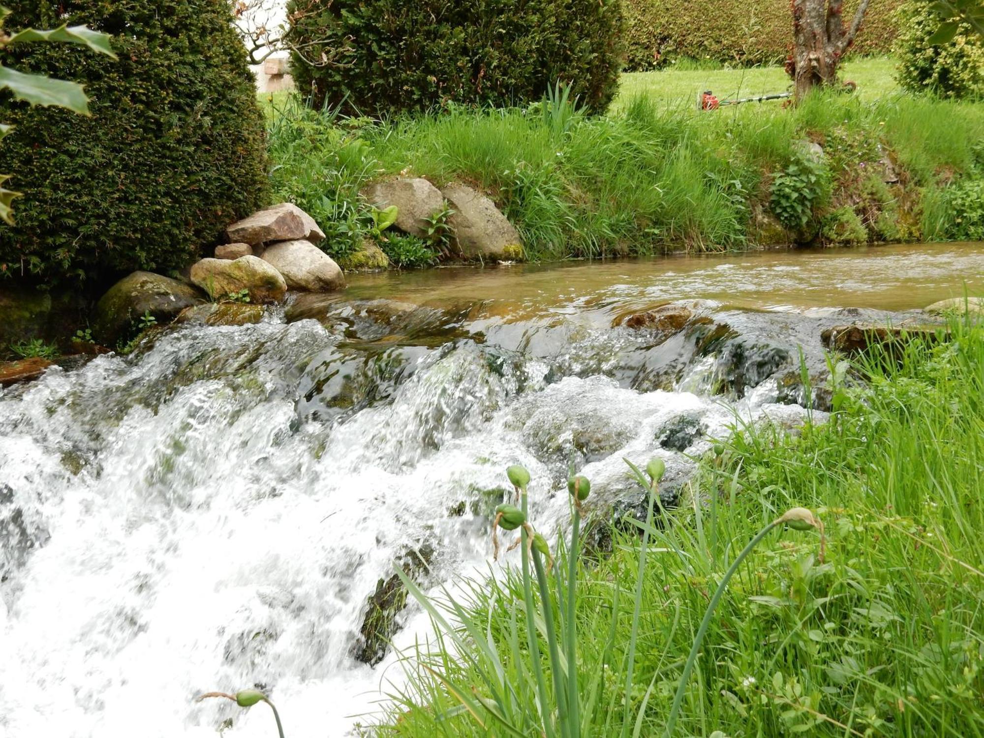 Elegant Chalet In Gerb Pal In Cosy Environment Gerbépal المظهر الخارجي الصورة